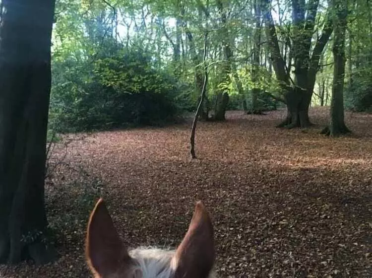 Queen Bower Farm Lodge