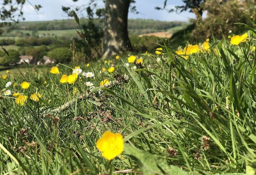 Queen Bower Farm Lodge