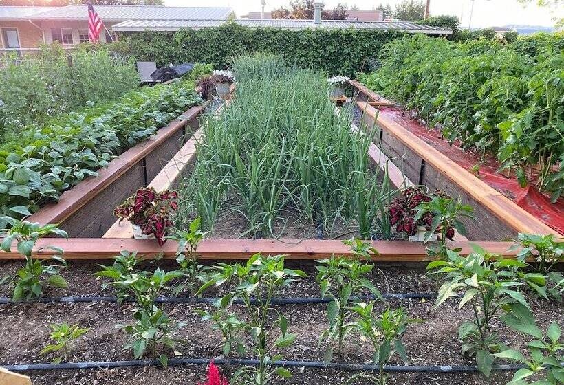 Horseshoe Bend Motel