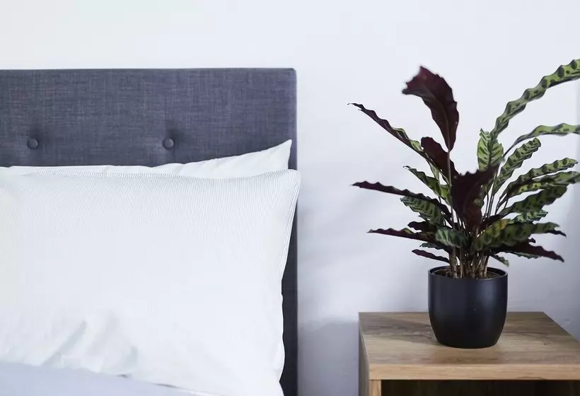 The Millhouse Sleep Inn