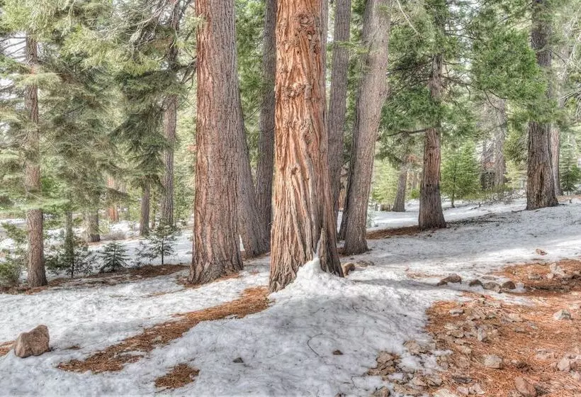 Tranquil Tahoe