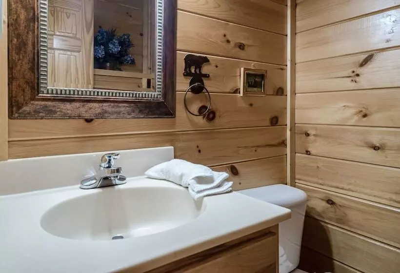 Bear Vista Retreat W Hottub Pool View