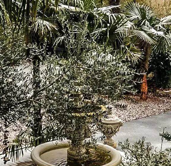 Aamiaismajoitus (B&B) Chez Fabrice