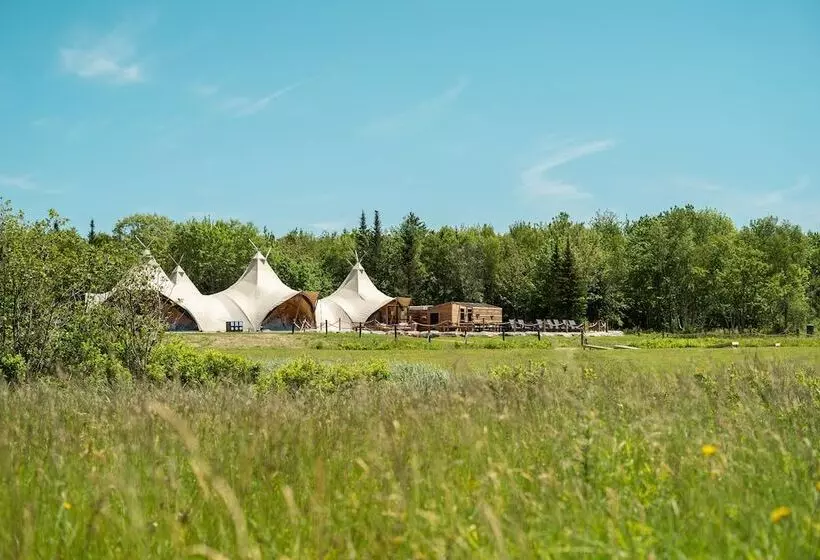 هتل Under Canvas Acadia