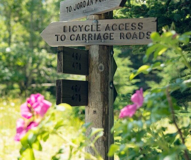 Hotelli Under Canvas Acadia