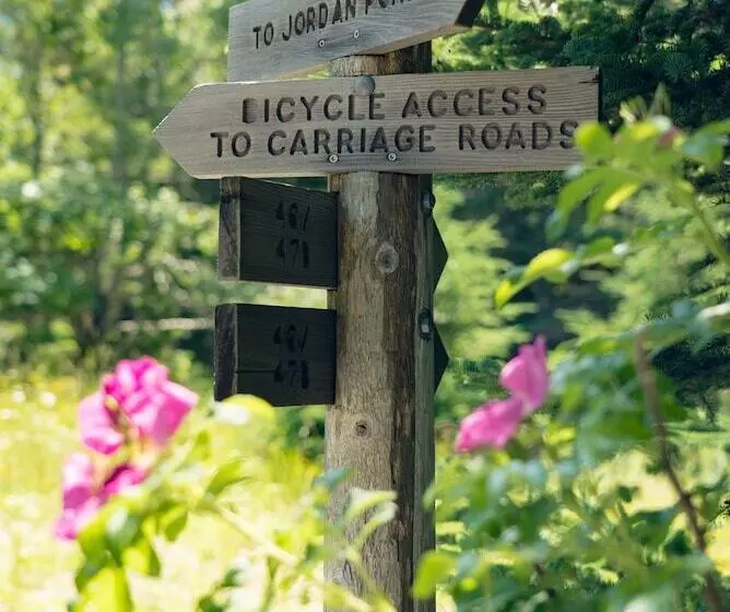 هتل Under Canvas Acadia