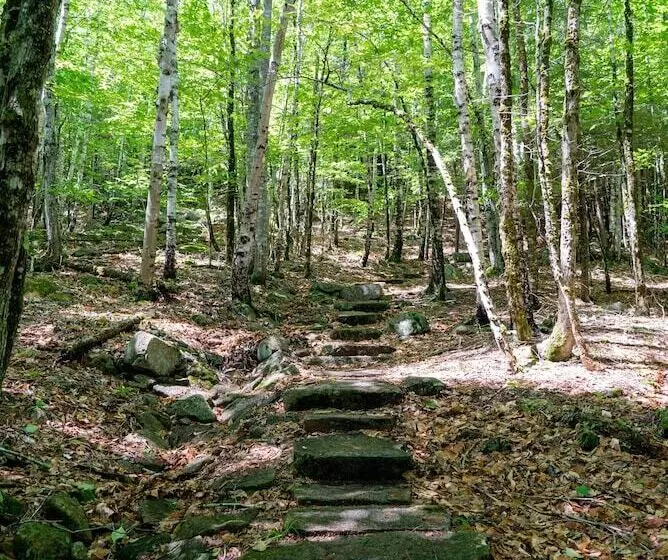 هتل Under Canvas Acadia