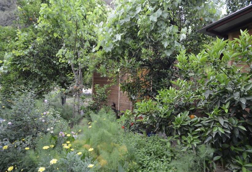 پانسیون Olympos Mercan Bungalow