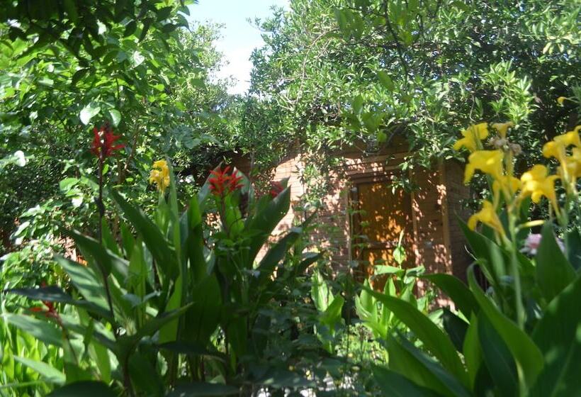 پانسیون Olympos Mercan Bungalow