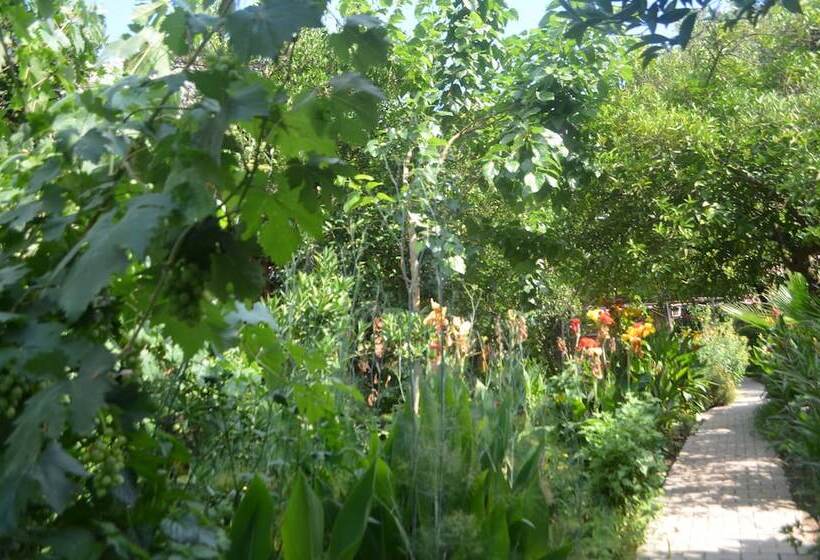 پانسیون Olympos Mercan Bungalow