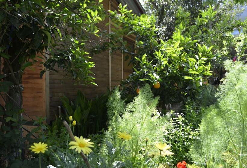 پانسیون Olympos Mercan Bungalow