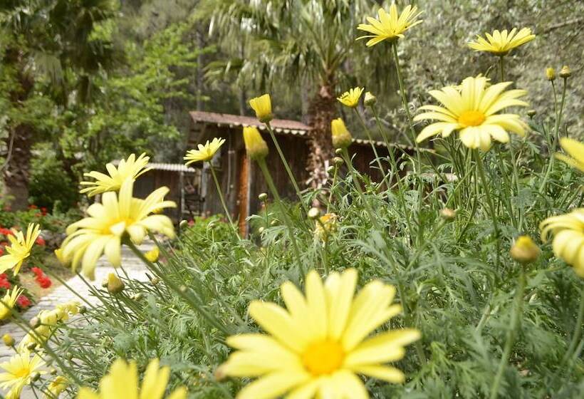 پانسیون Olympos Mercan Bungalow