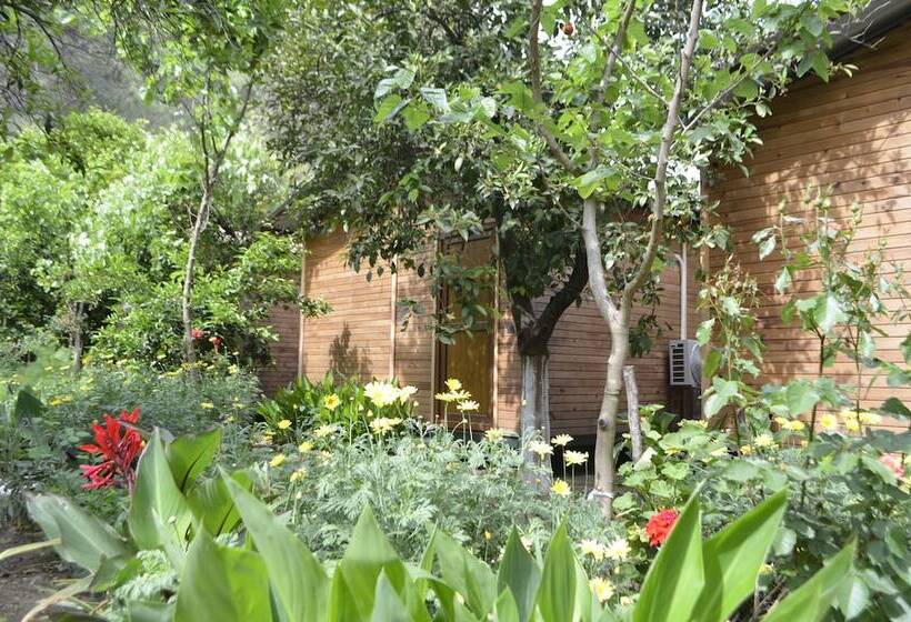 پانسیون Olympos Mercan Bungalow