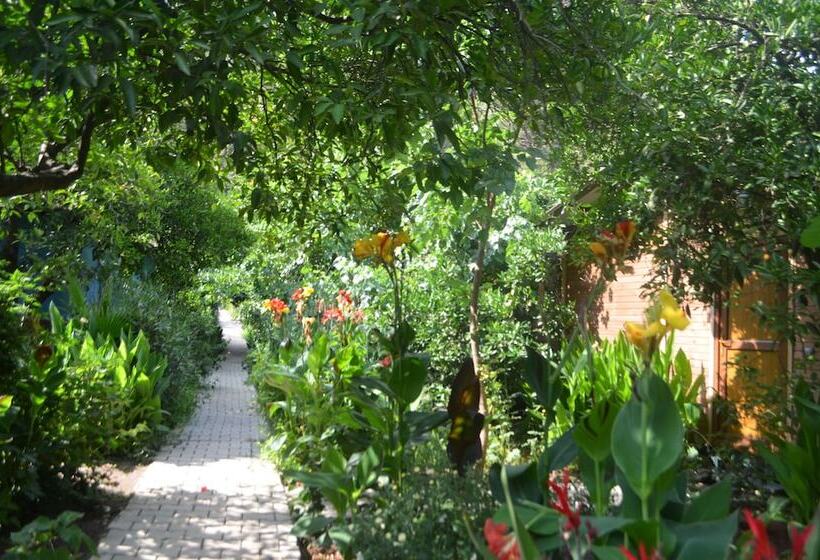 پانسیون Olympos Mercan Bungalow