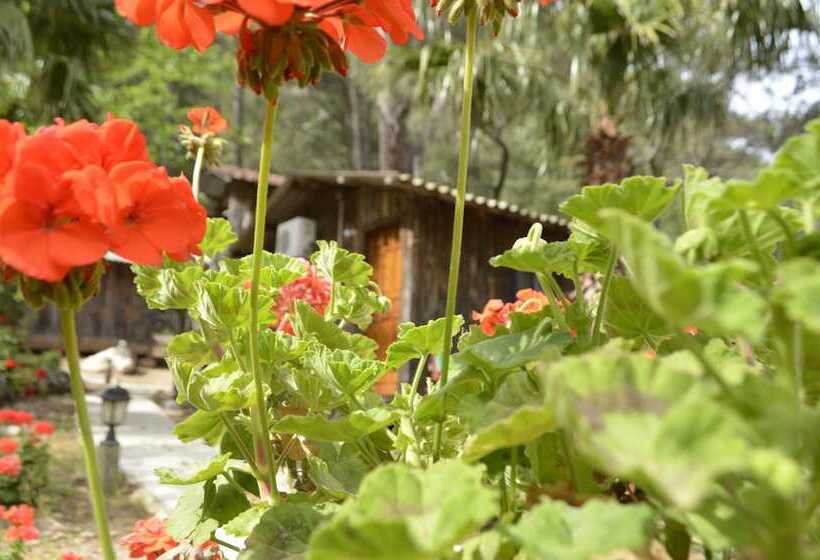 پانسیون Olympos Mercan Bungalow