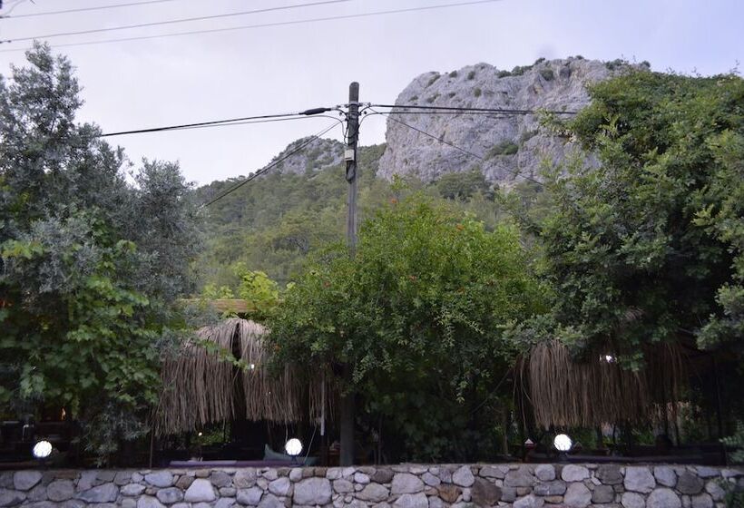 پانسیون Olympos Mercan Bungalow