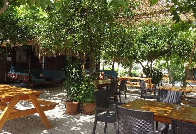 پانسیون Olympos Mercan Bungalow