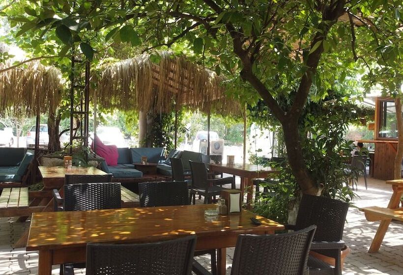 پانسیون Olympos Mercan Bungalow