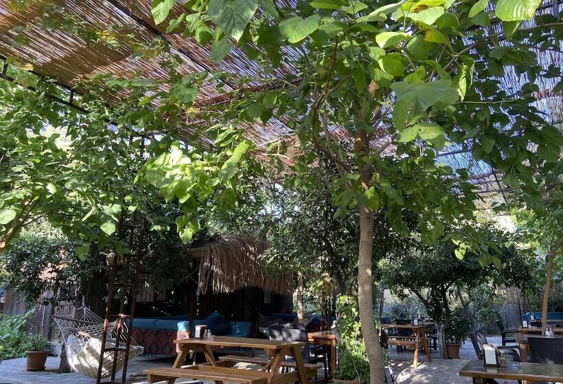 پانسیون Olympos Mercan Bungalow