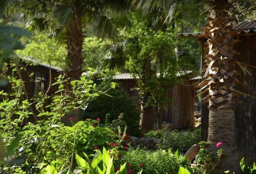 پانسیون Olympos Mercan Bungalow