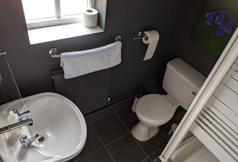 פנסיון Riverbarn Fonthill Bishop Bed & Breakfast