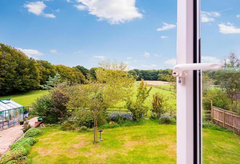 פנסיון Chambers Place