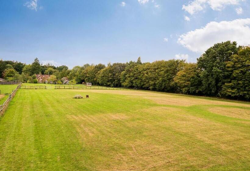 פנסיון Chambers Place