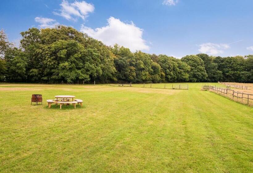 פנסיון Chambers Place