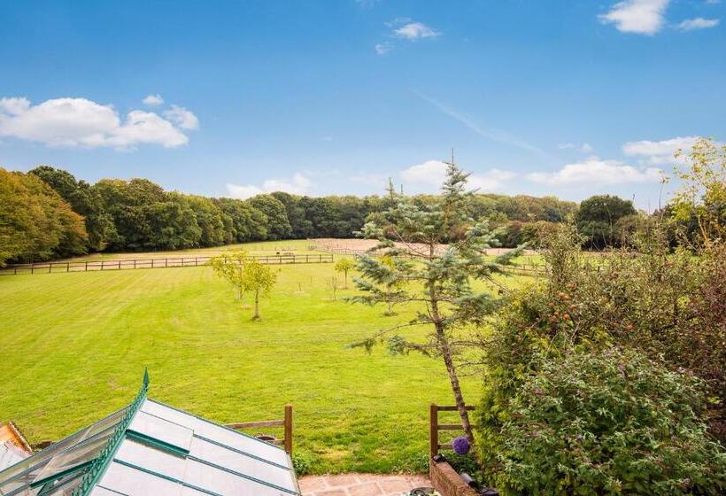 פנסיון Chambers Place