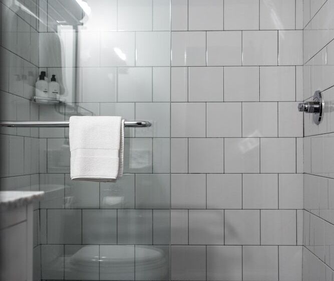 פנסיון Black Swan Sobro Nashville