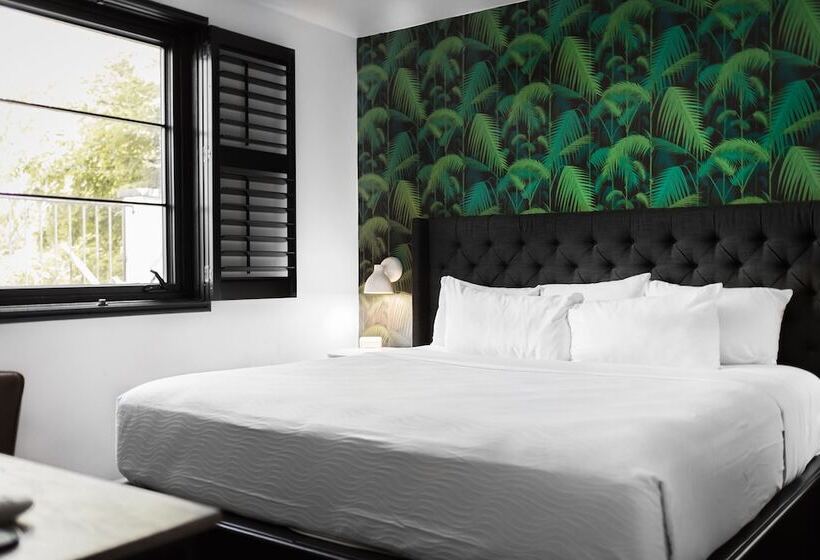 פנסיון Black Swan Sobro Nashville