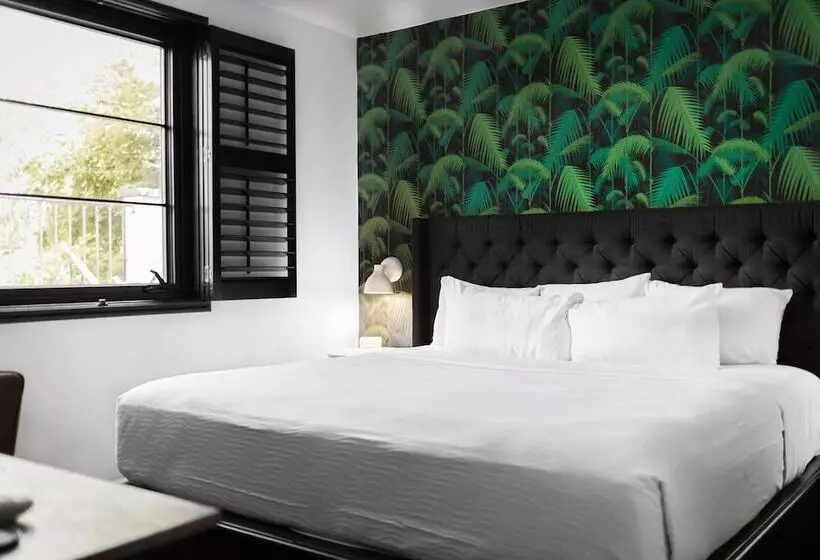 ペンション Black Swan   Sobro Nashville