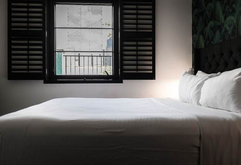 פנסיון Black Swan Sobro Nashville