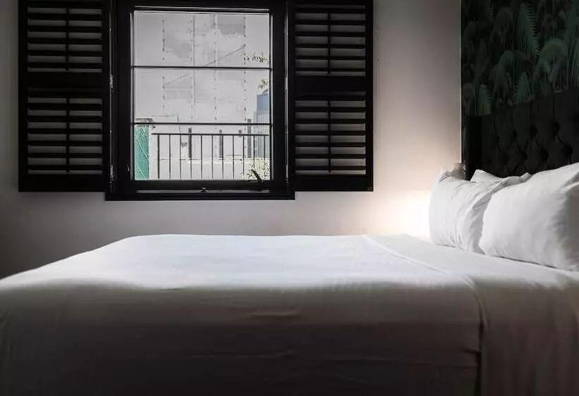 ペンション Black Swan   Sobro Nashville