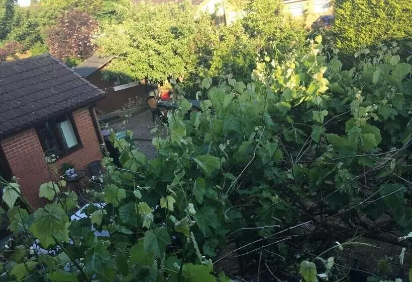 The Cedars House B&b