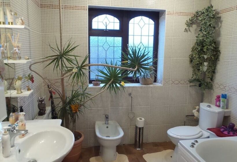 The Cedars House B&b