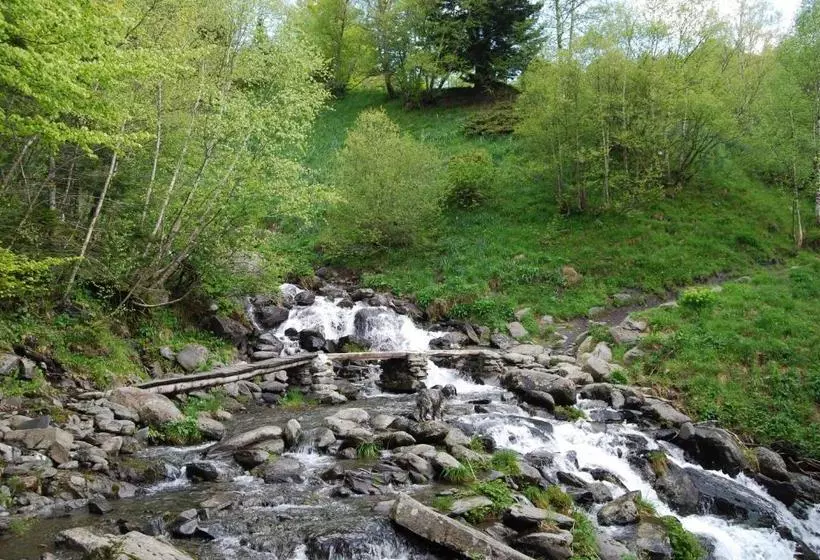 簡易ホテル Pension Casa Vicenta