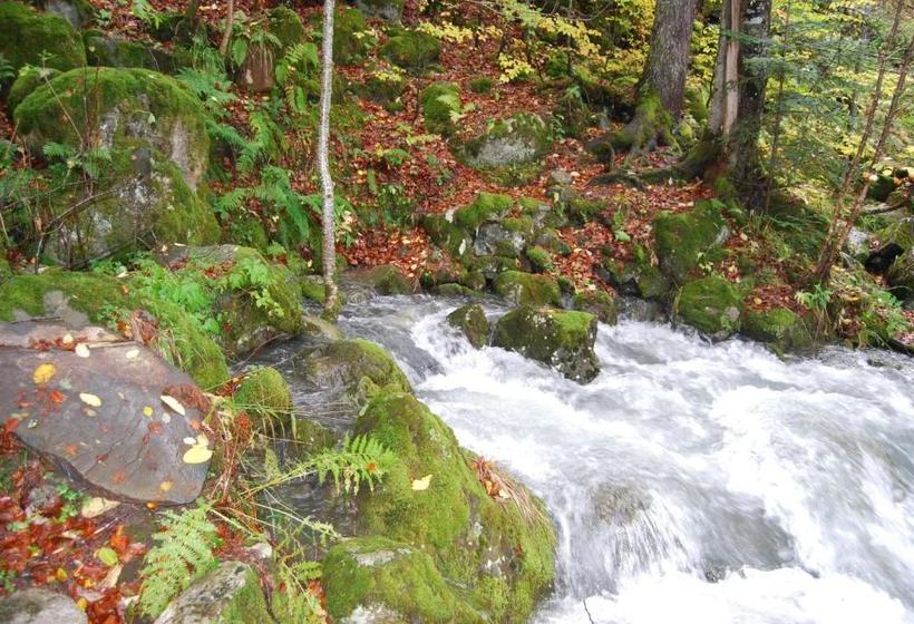 簡易ホテル Pension Casa Vicenta