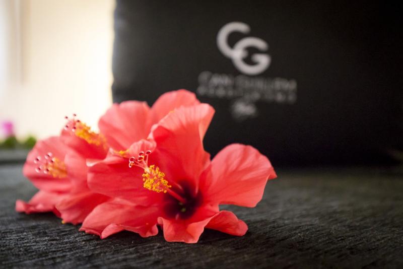 호텔 Agroturismo Can Guillem