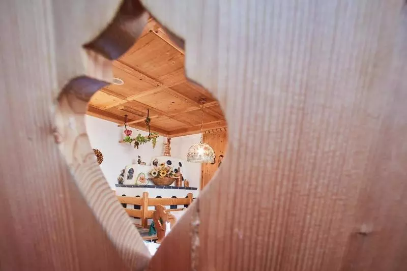 Отель Brennerspitz