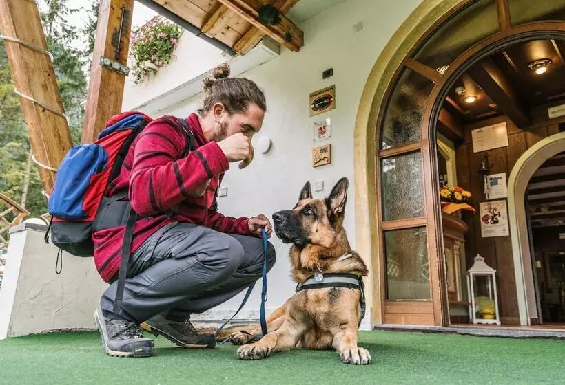 酒店 Chalet Pineta Relax Location