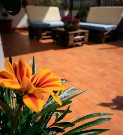 Отель Hostal Real