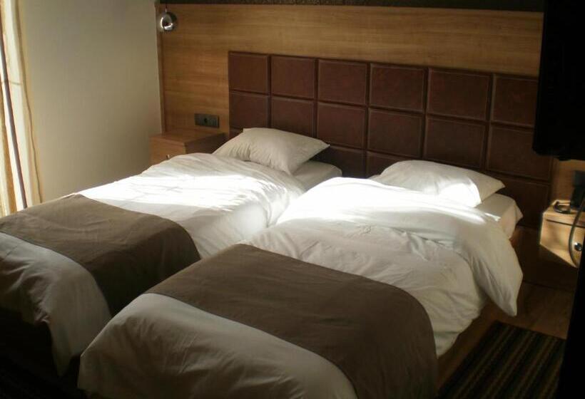 Отель Metropolis