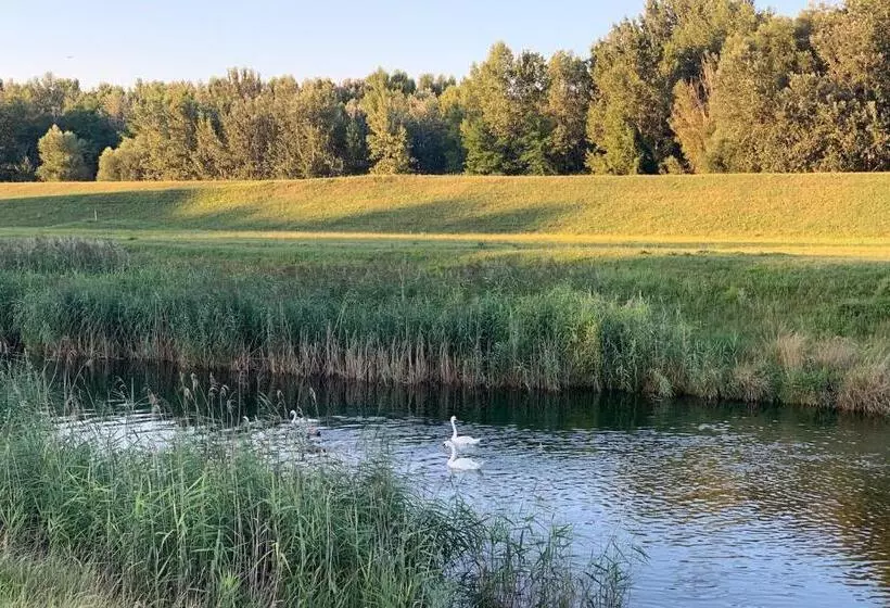 Hotel Ponteo   Activity Park