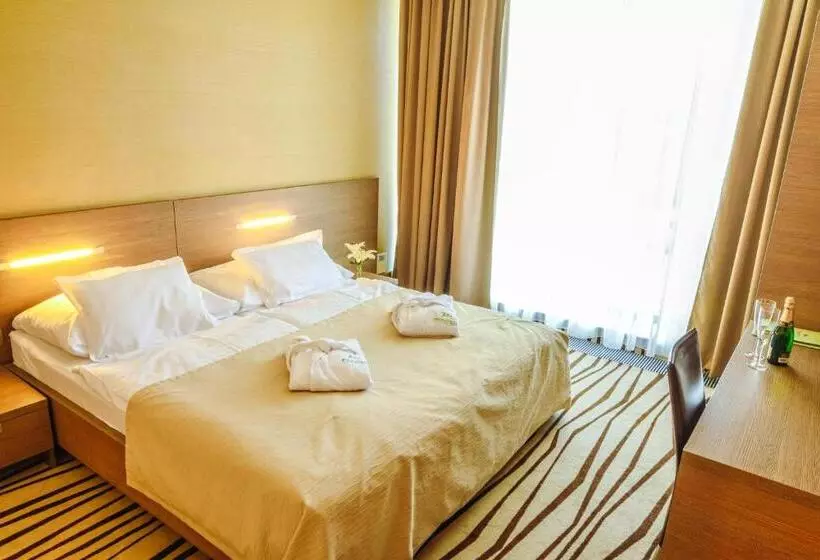 Hotel Ponteo   Activity Park