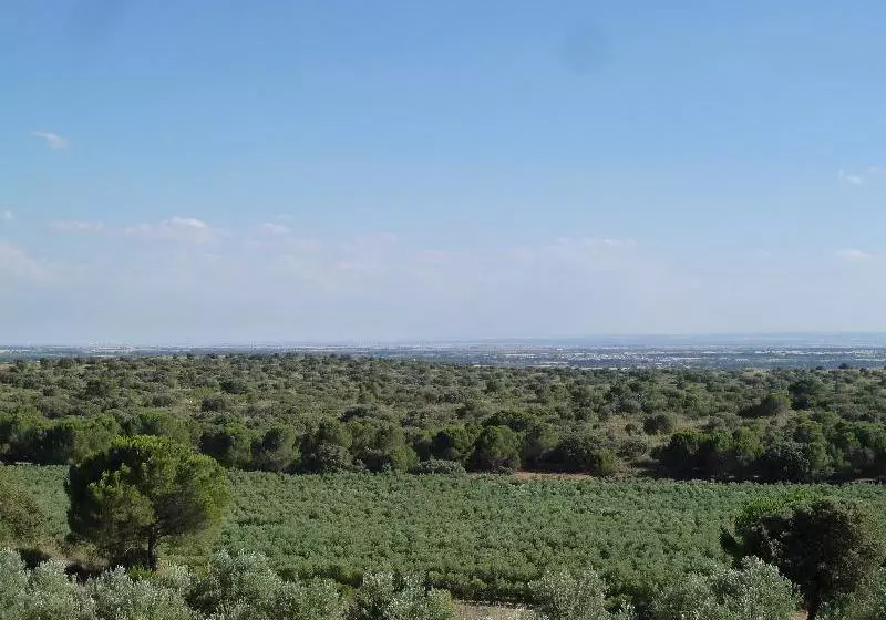 La Moragona Hotel con Encanto