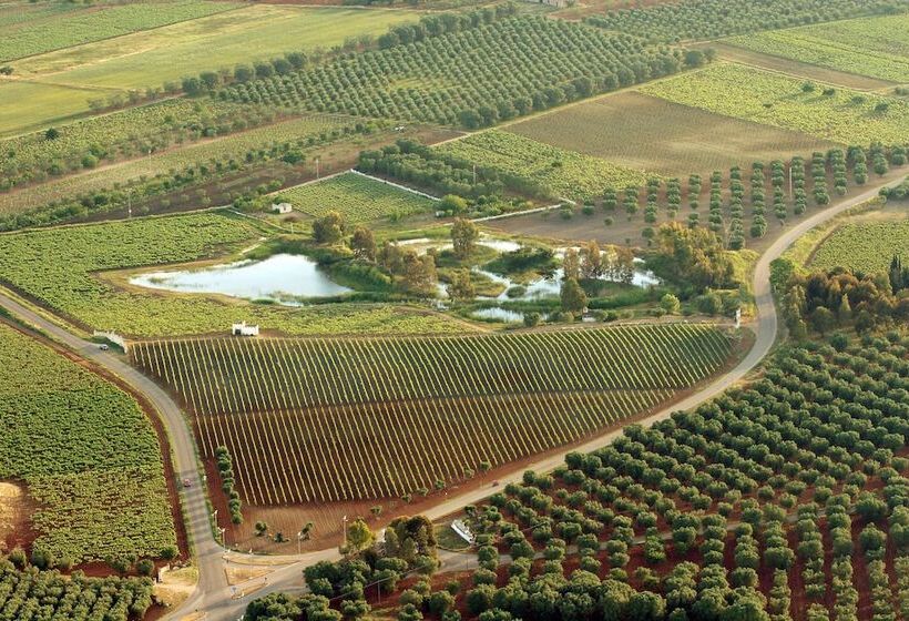 ホテル Tenute Al Bano