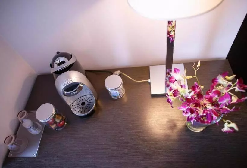 The One Hotel Designed For Adults Pet Lovers