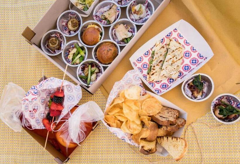 The One Hotel   Designed For Adults   Pet Lovers