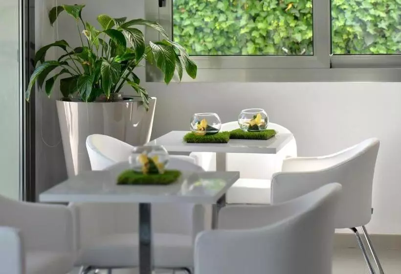 The One Hotel Designed For Adults Pet Lovers